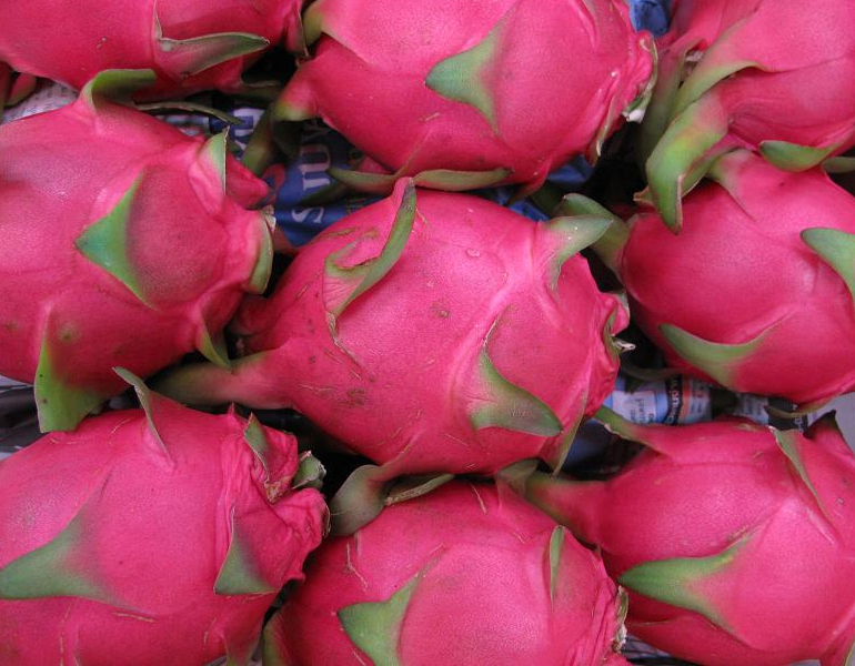 dragon-fruit