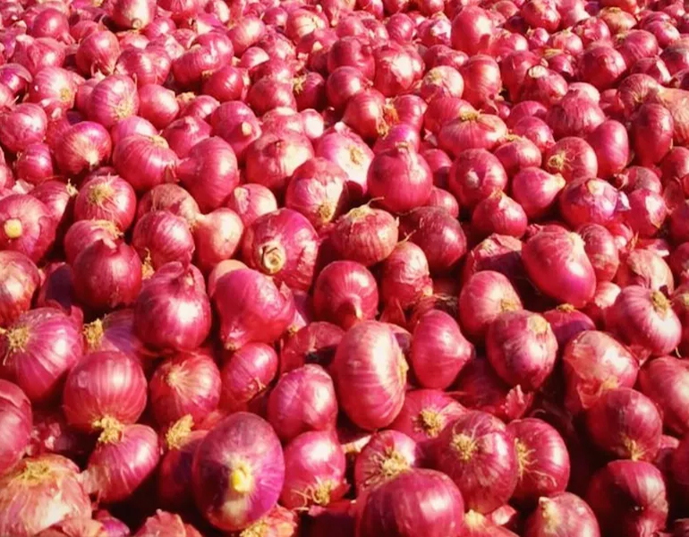 Jaggery